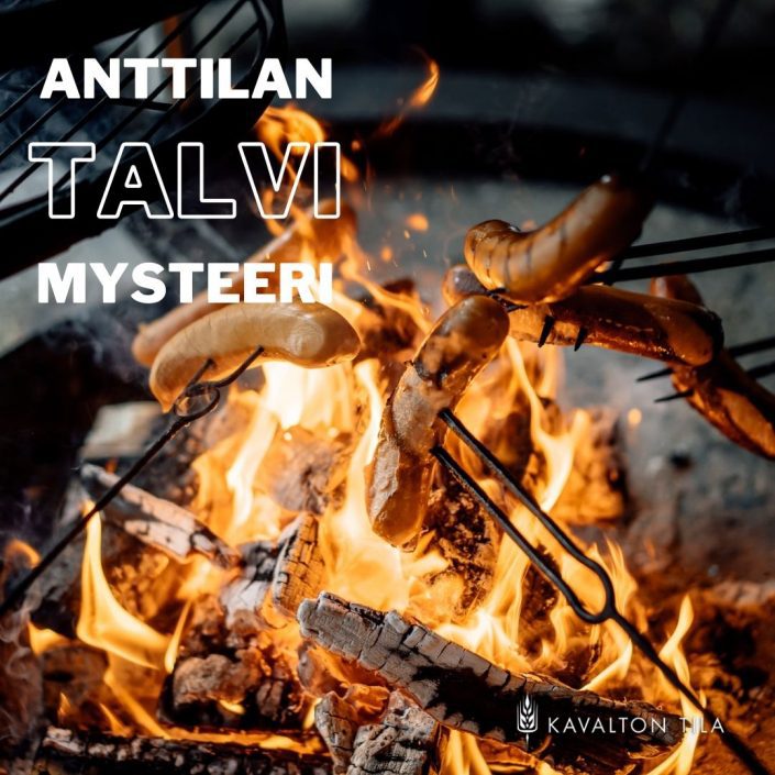 anttilan_talvimysteeri_6